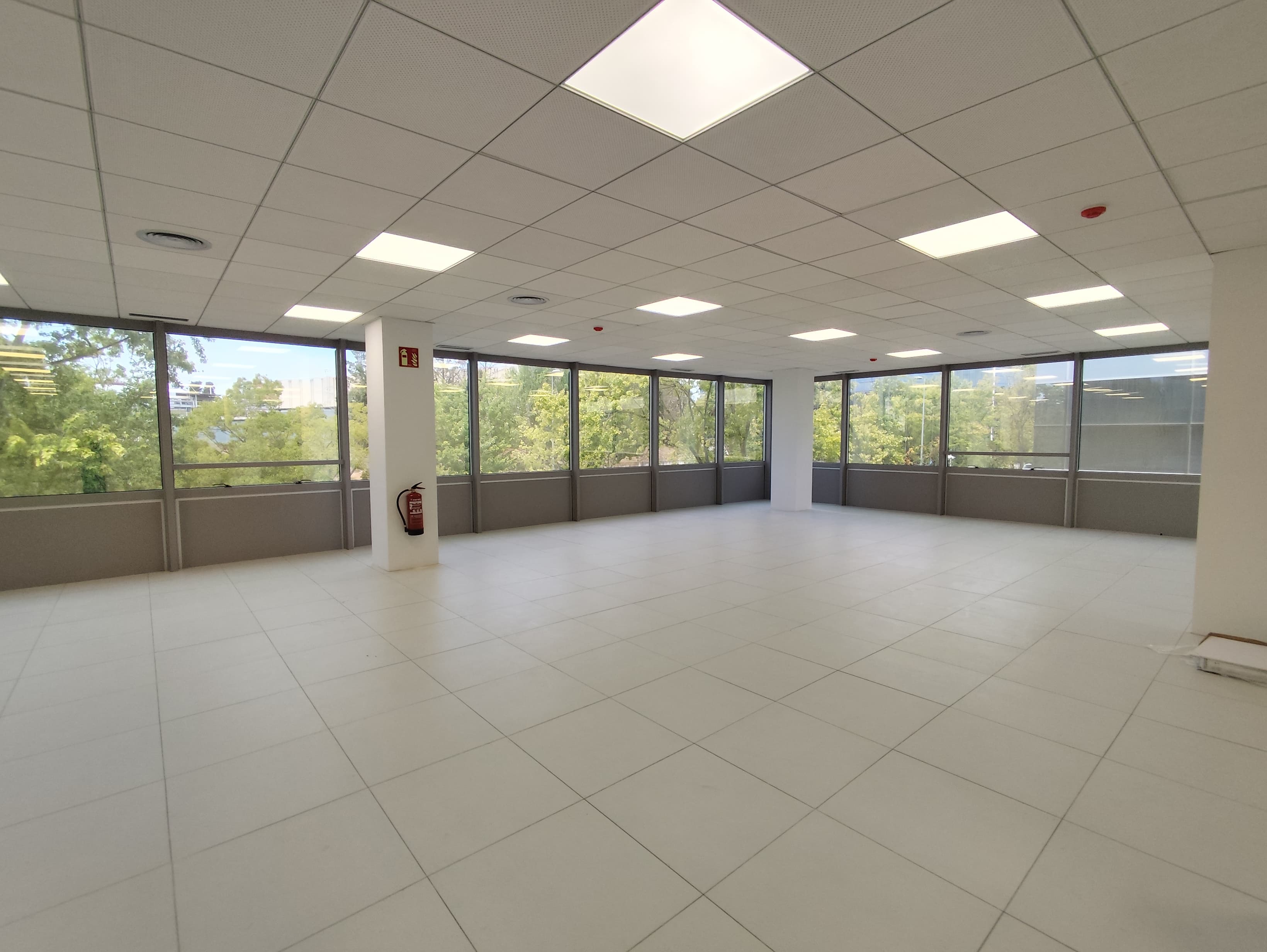 Avenida Corts Catalanes