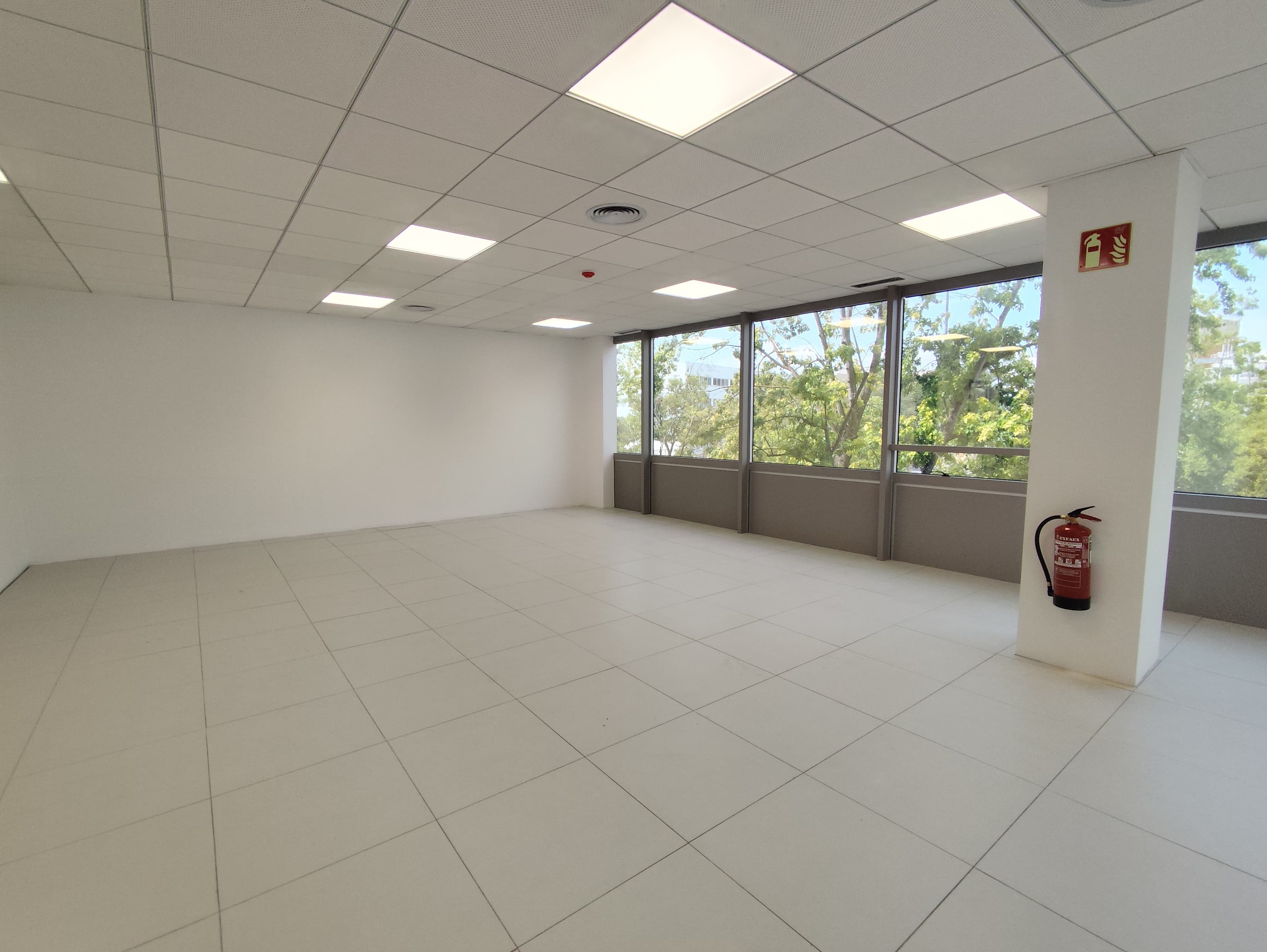 Avenida Corts Catalanes