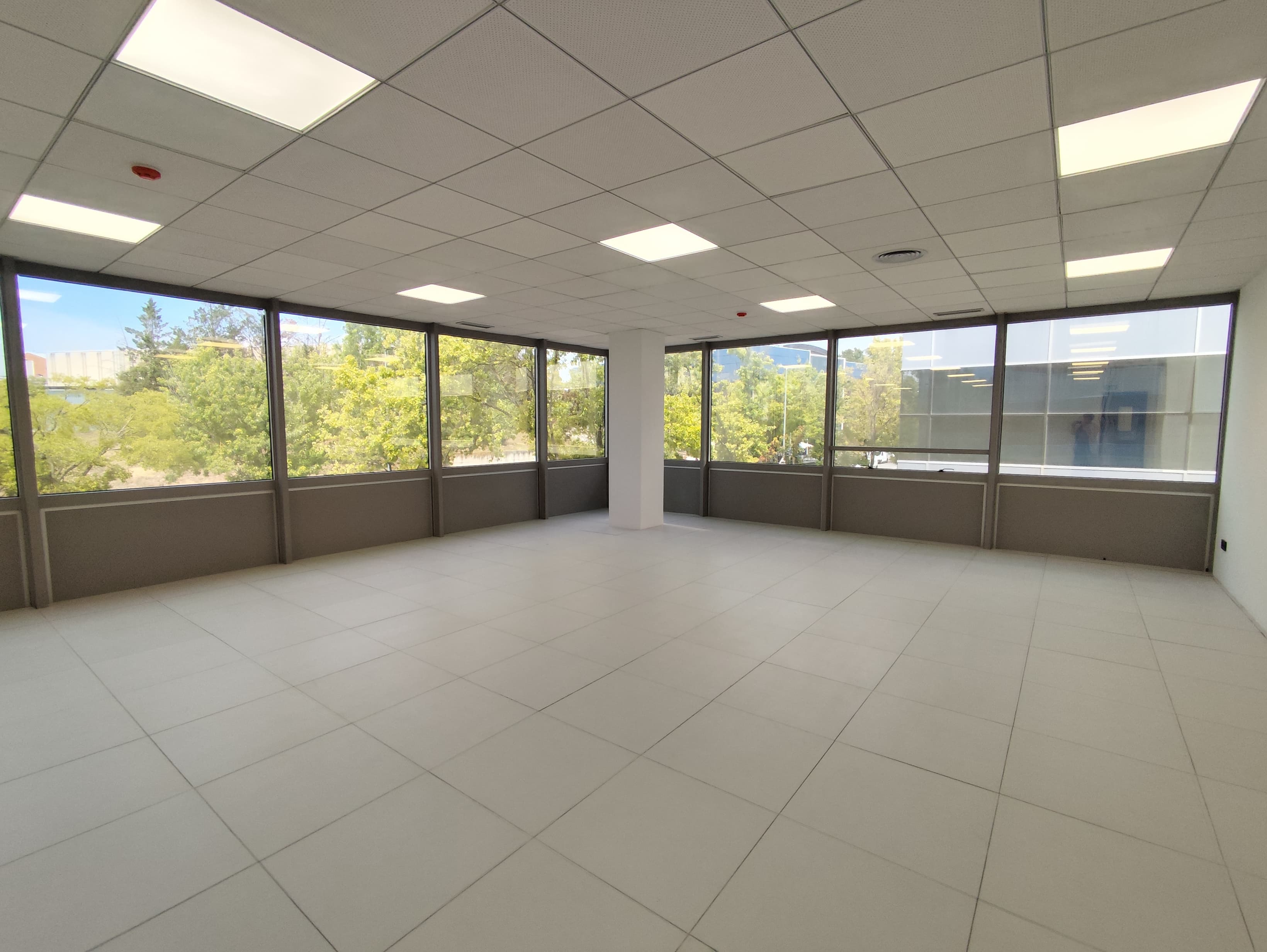 Avenida Corts Catalanes