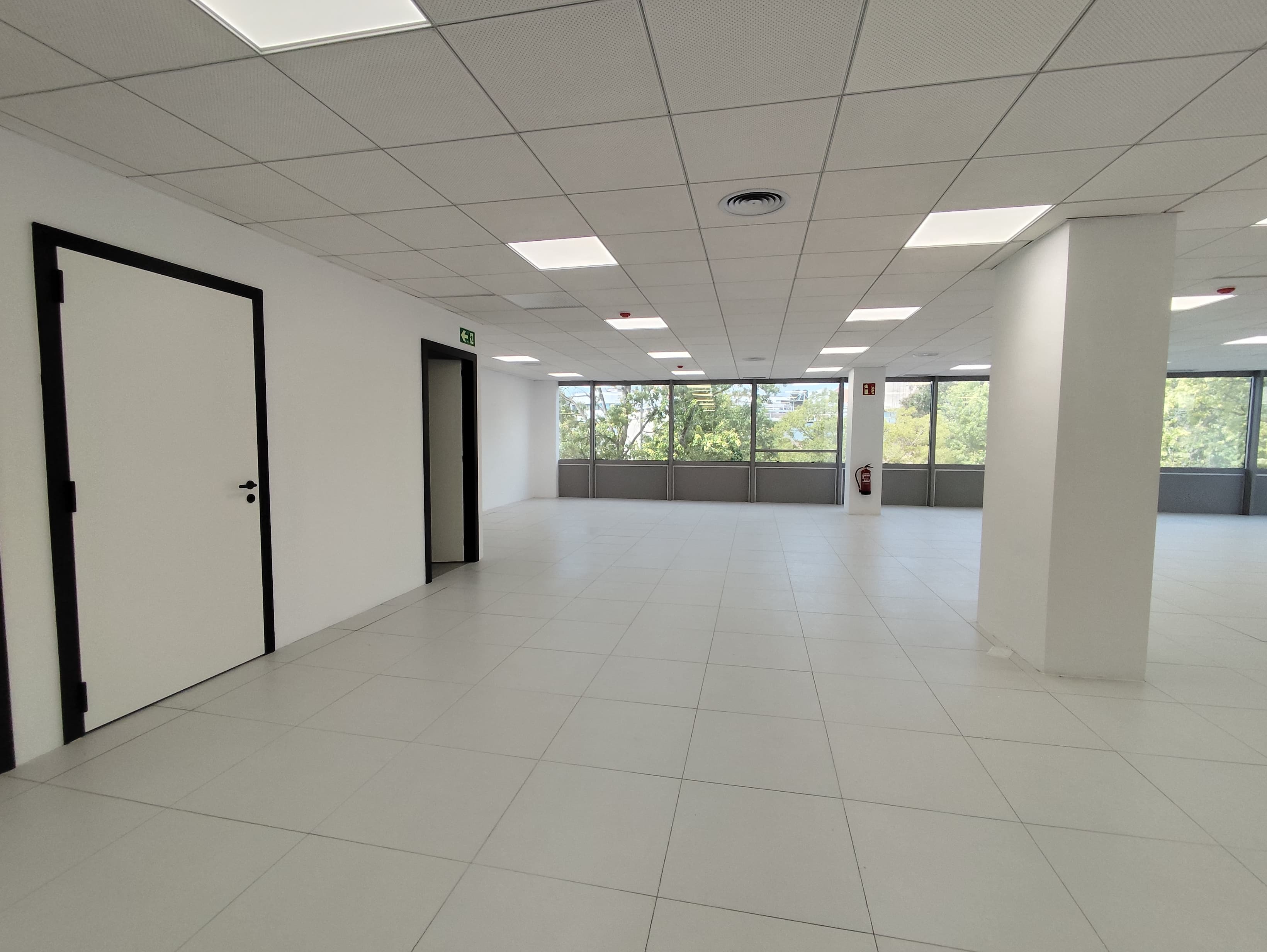 Avenida Corts Catalanes