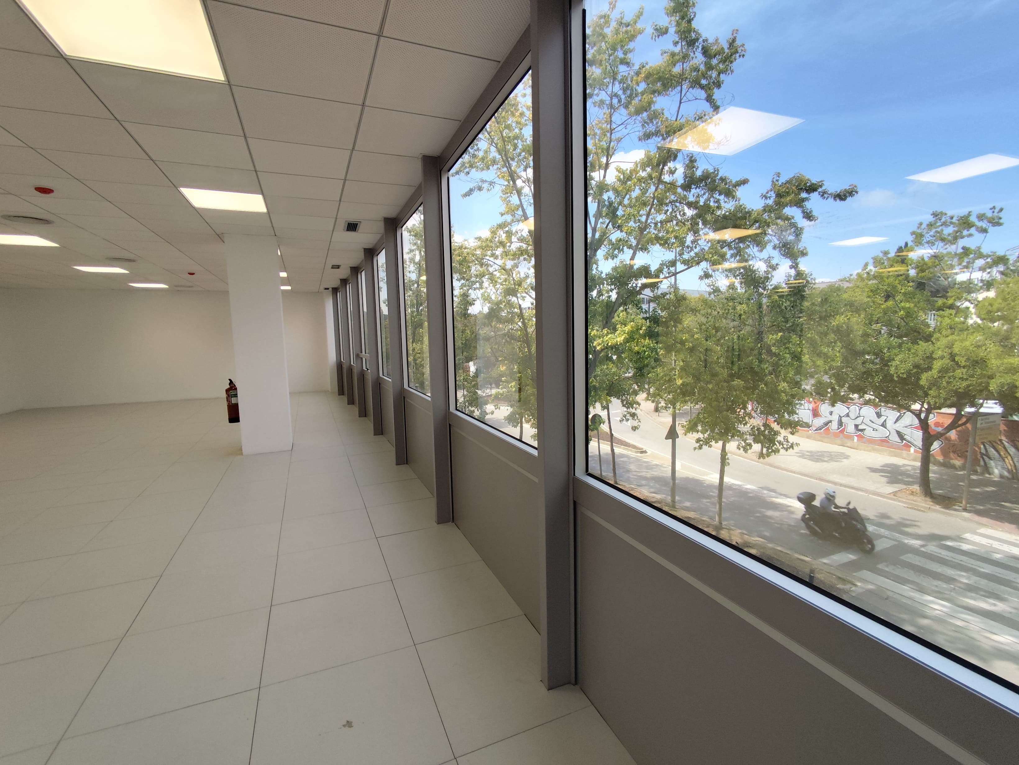 Avenida Corts Catalanes