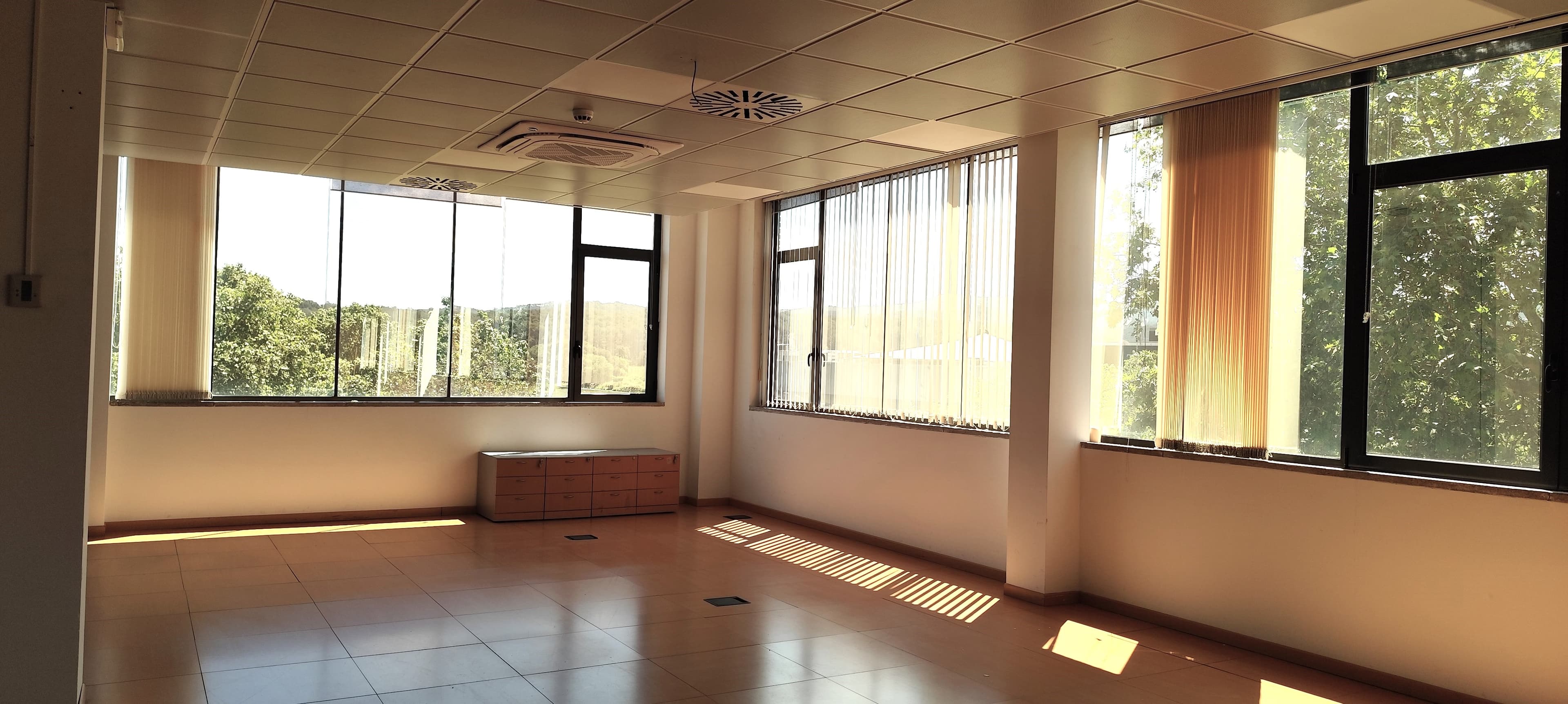 Avenida Corts Catalanes