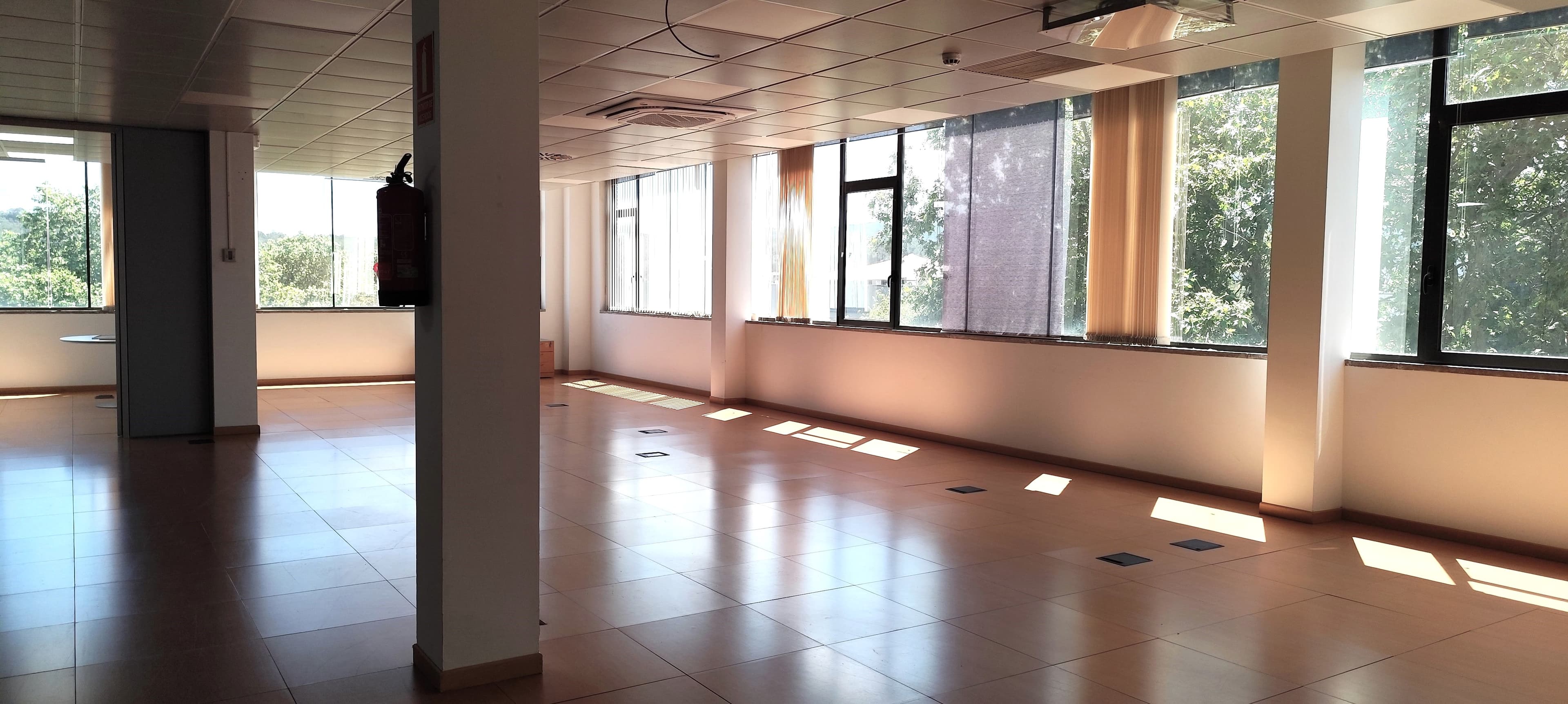 Avenida Corts Catalanes