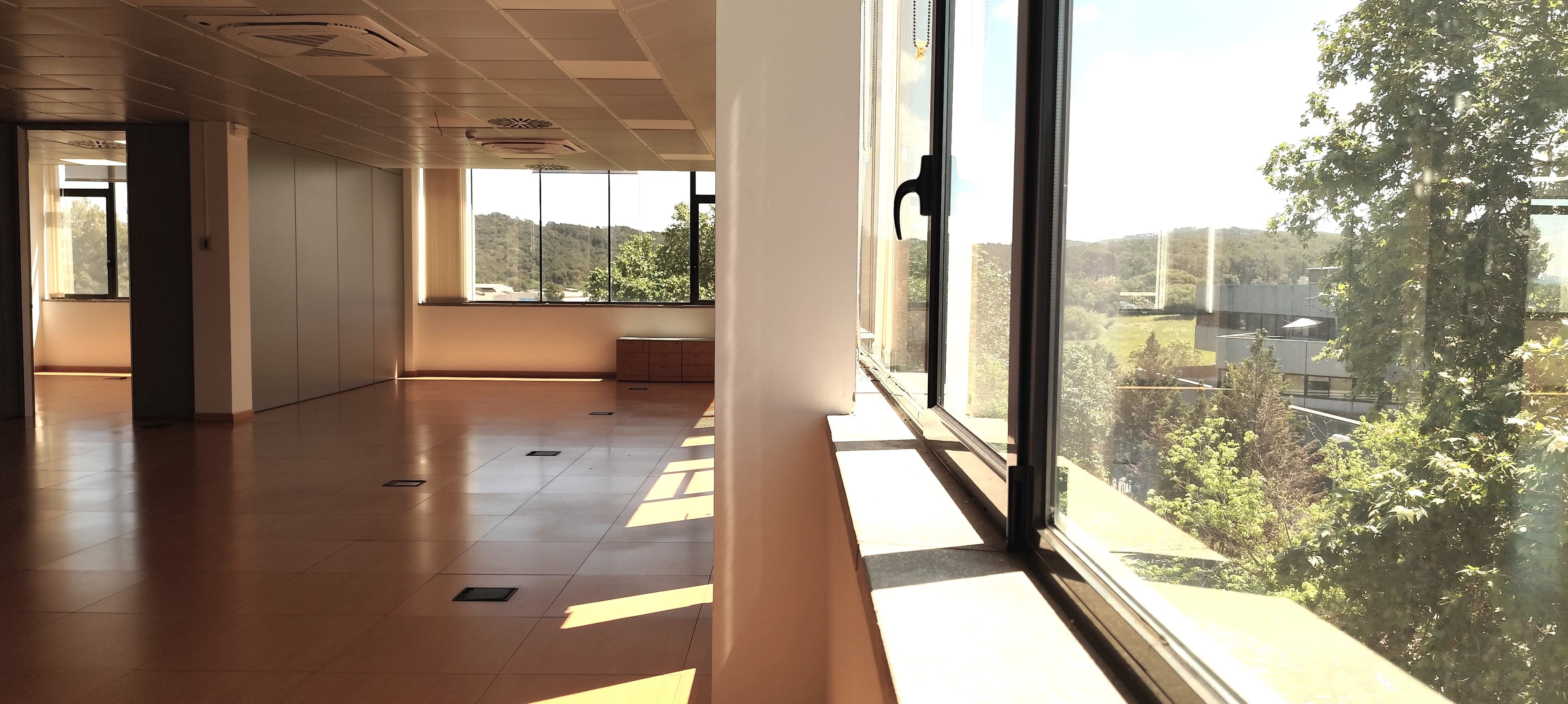 Avenida Corts Catalanes