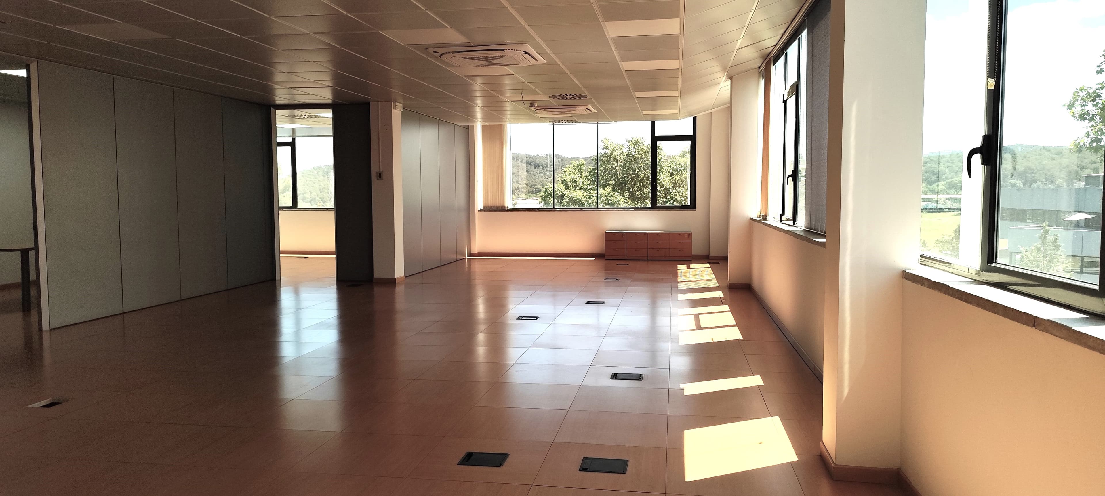 Avenida Corts Catalanes