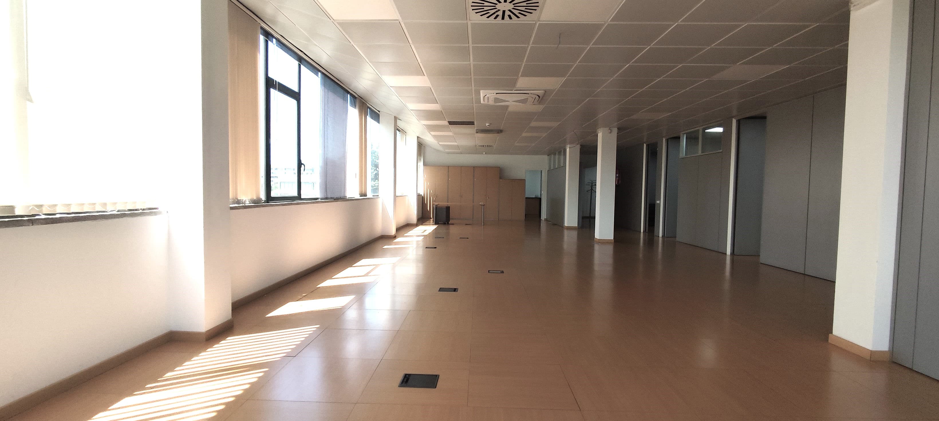 Avenida Corts Catalanes