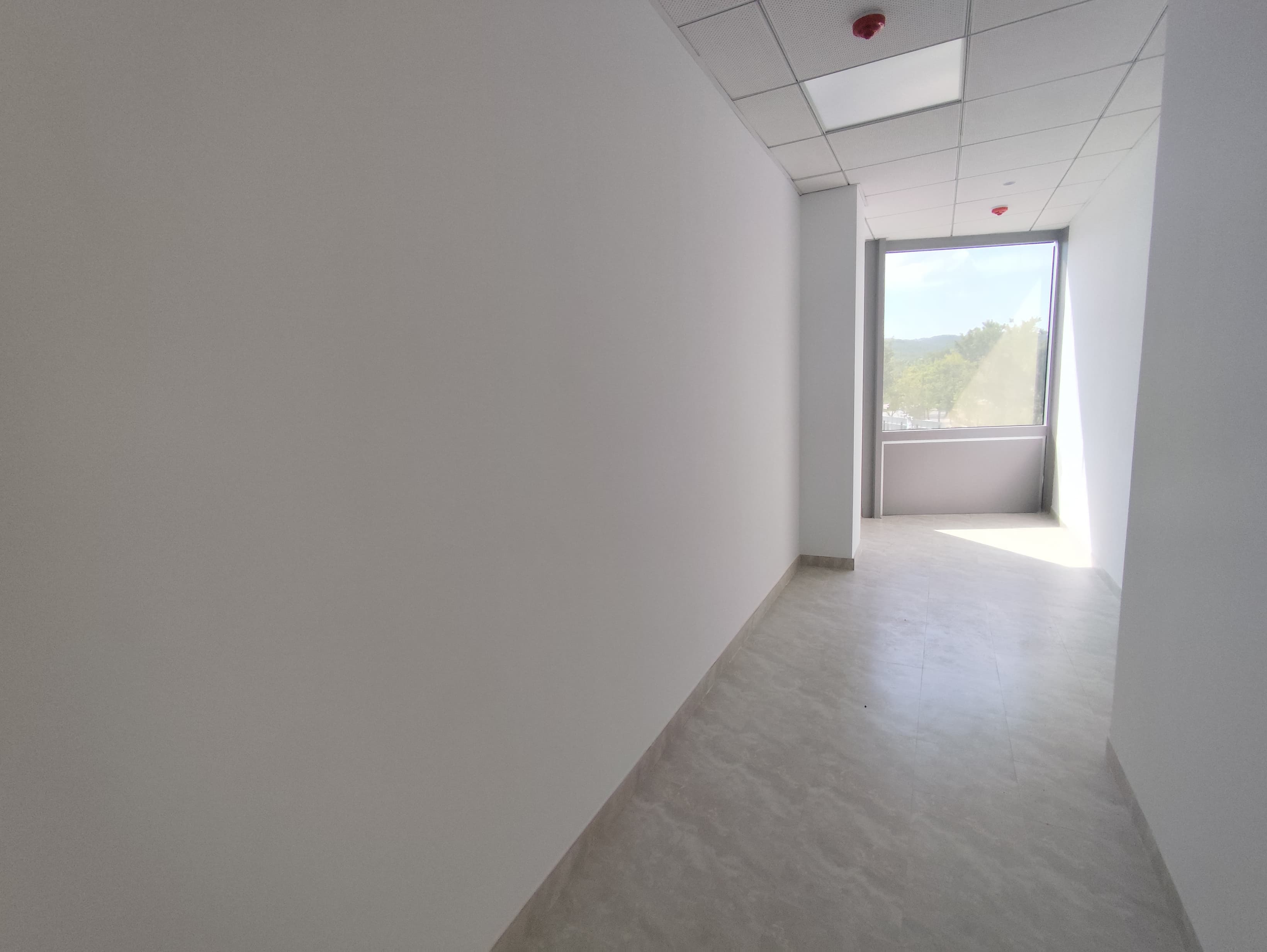 Avenida Corts Catalanes