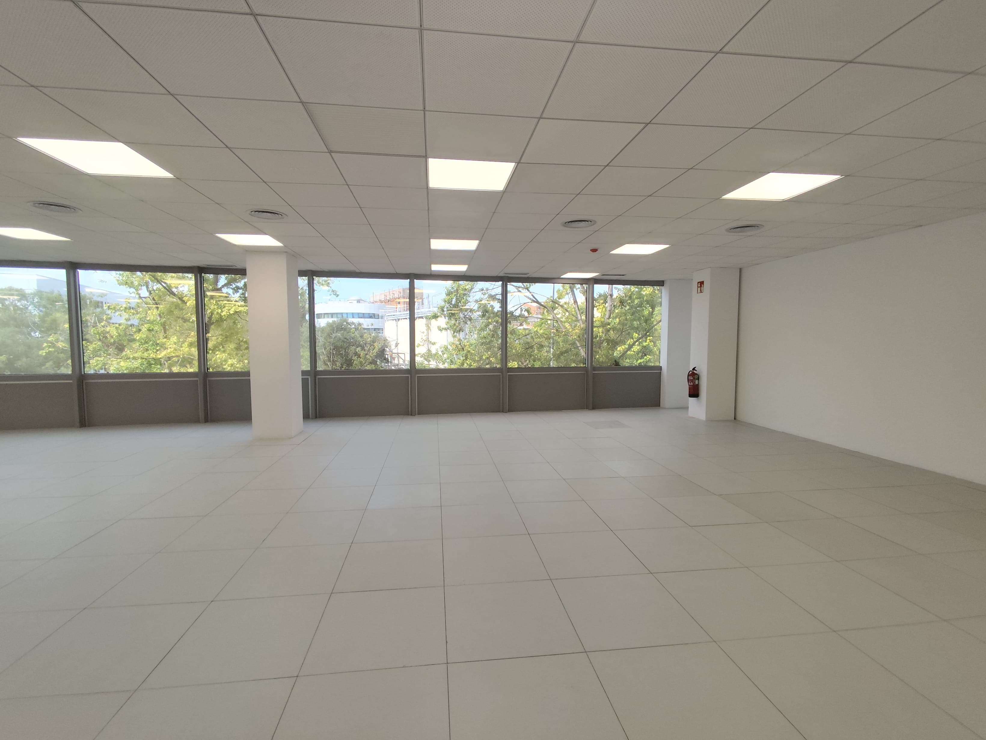 Avenida Corts Catalanes