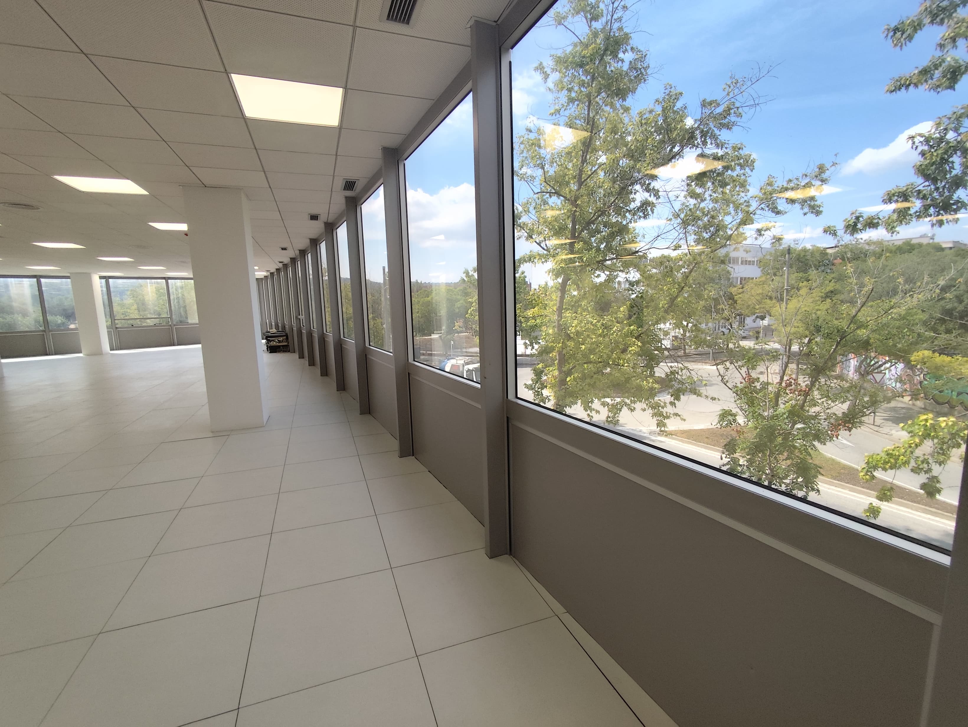 Avenida Corts Catalanes