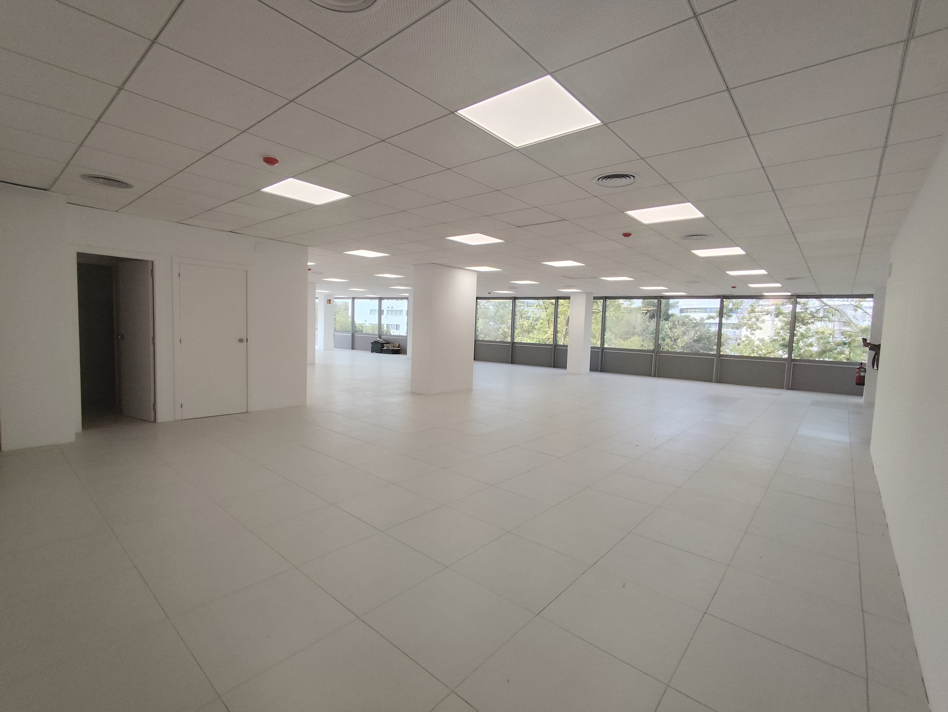 Avenida Corts Catalanes