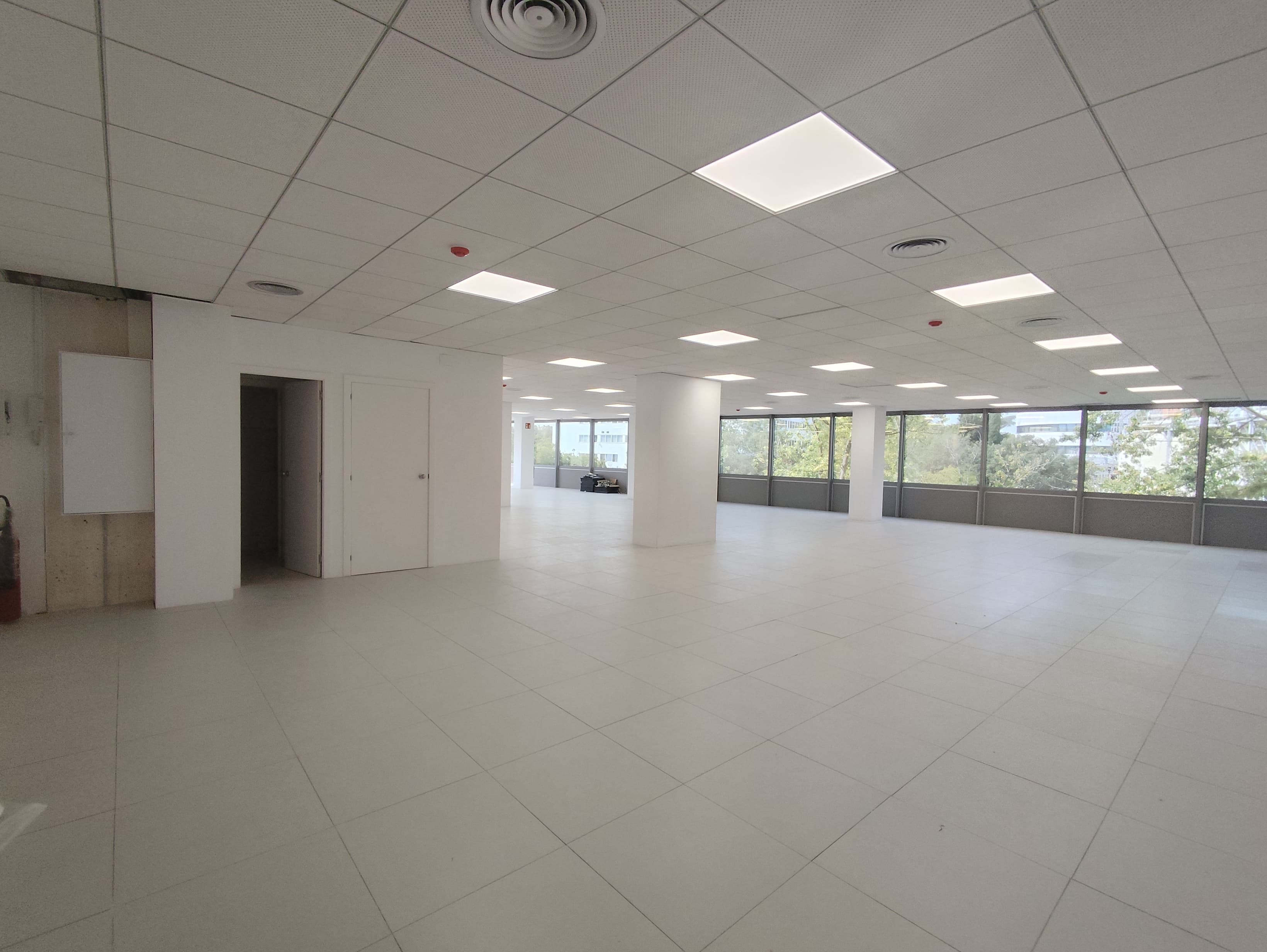 Avenida Corts Catalanes