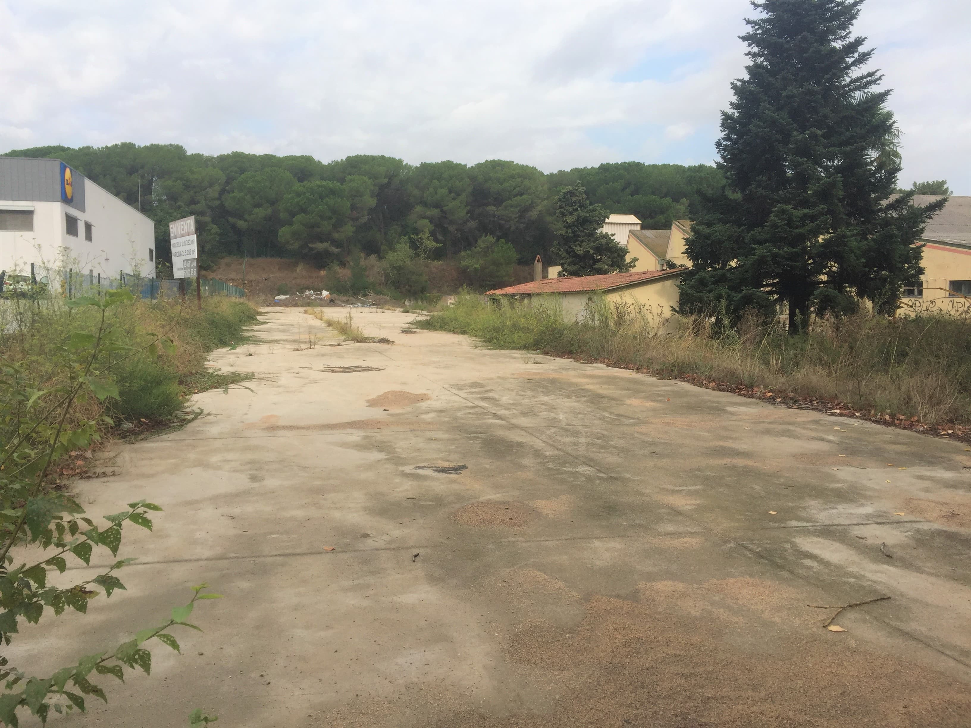 Sant Celoni Sector Cementiri