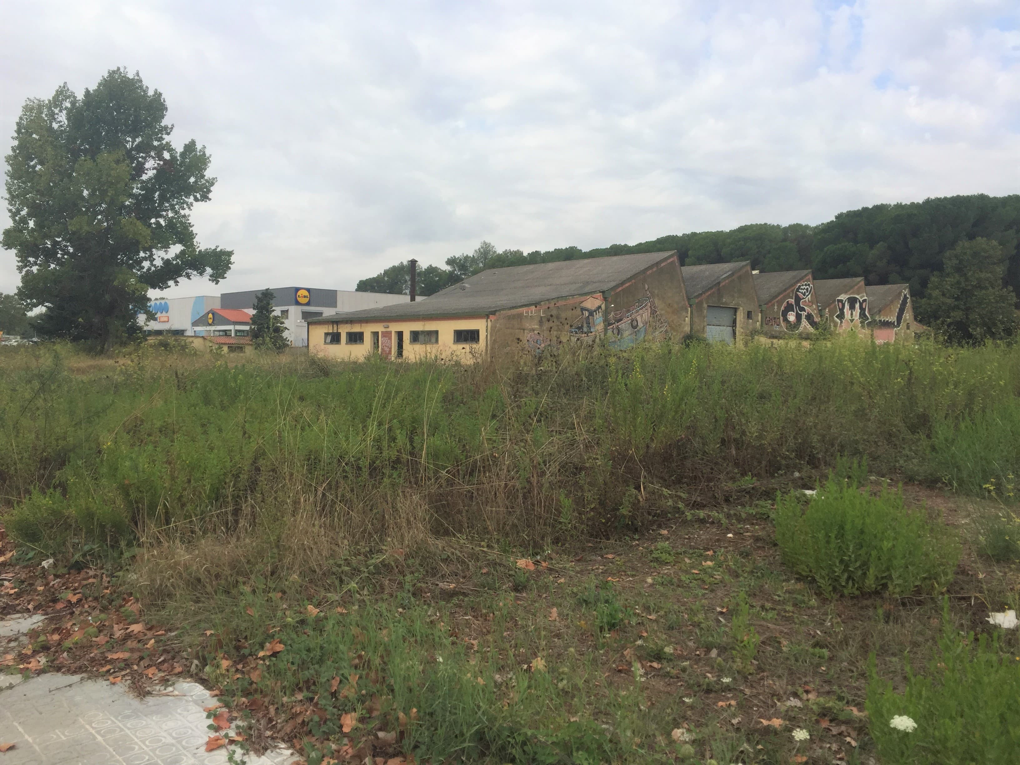 Sant Celoni Sector Cementiri