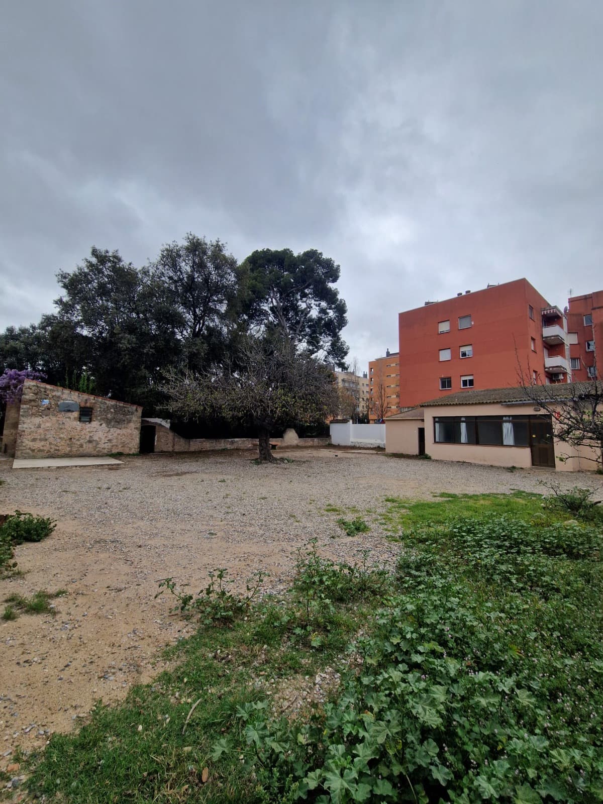 Calle Major
