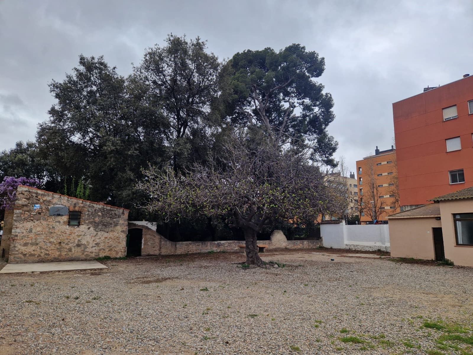 Calle Major