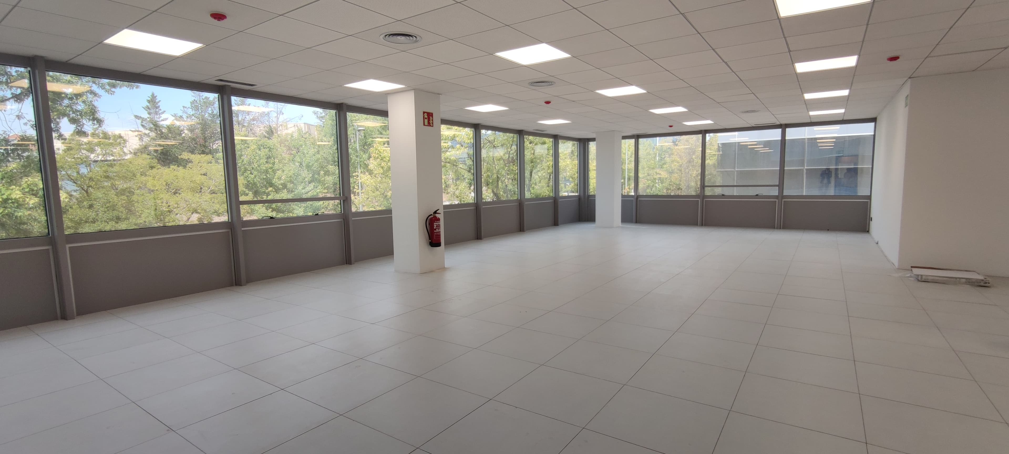 Avenida Corts Catalanes